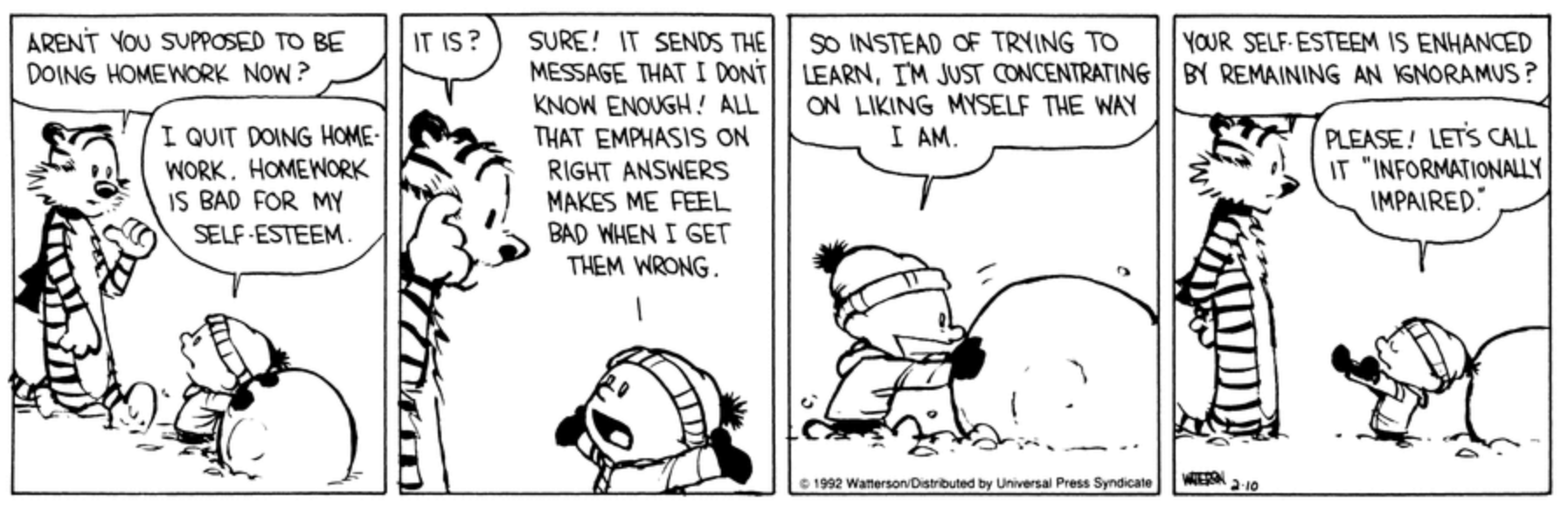 Calvin and Hobbes on accessibility